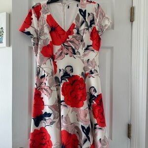 Floral V-neck Women’s Dress